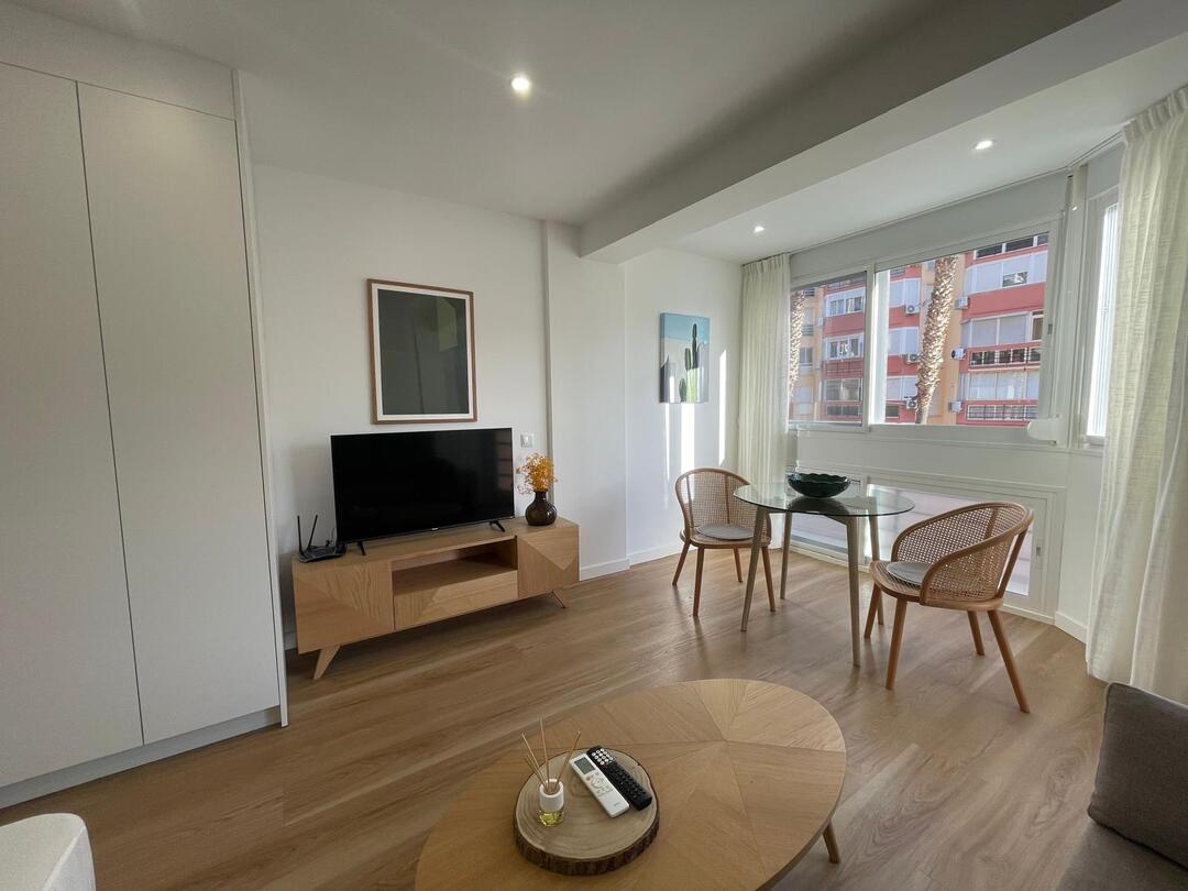  - apartamentos-terrasol.com